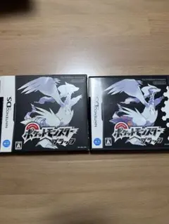 ニンテンドーDS ポケットモンスター ブラック ②