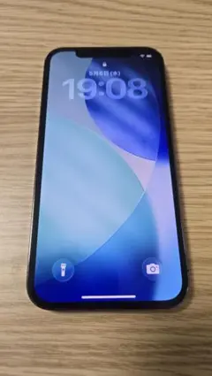 Apple iPhone 12pro 256GB
