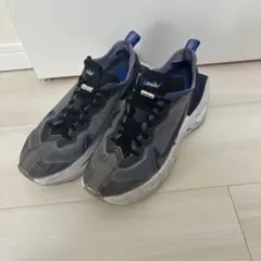 Nike スニーカー グレー/ブルー
