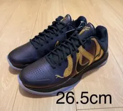 Nike Kobe 5プロトロ“Year of the Mamba”