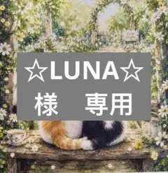 ☆LUNA☆様　専用