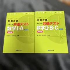 Item thumbnail for item 8d519ef3-6ce2-473a-9d9b-a8cc82a093f7