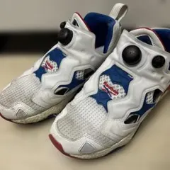 Reebok ポンプフューリー　24.5cm