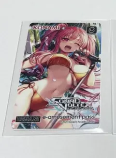 2026年最新】E-AMUSEMENT pass sdvxの人気アイテム - メルカリ