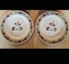 リルリンリン 2025 スーベニア プレート 2点セット ディズニー 皿 お皿