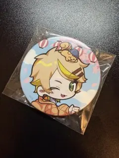 Crazy Raccoon 缶バッジ Mainy ノーマルのサムネイル