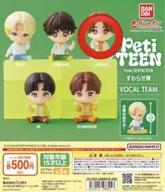 SEVENTEEN petiteen ジョシュア　すわらせ隊