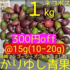 摘果マンゴー・グリーンマンゴー・青マンゴー Amazon.co.jp: MDSTORE 沖縄青切りマンゴー 摘果マンゴー Green Raw