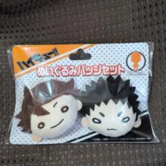 ハイキュー にとたん ぬいぐるみバッジセット フェイスバッシ 及川徹 岩泉一