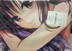 To LOVEる　結城美柑　抱き枕カバー　新品未開封品