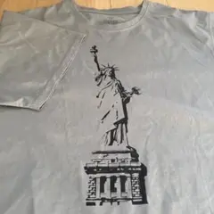 ovys STATUE OF WORKOUT SS TEE ティール/Lサイズ