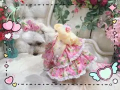犬服 ハンドメイド 浴衣 リップル生地 うちわ柄 XSサイズ ピンク