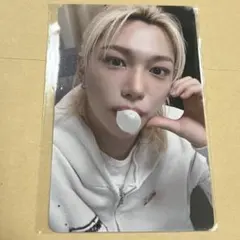 fansヨントントレカ フィリックス