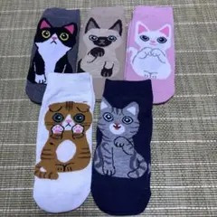 【⭐︎ポコちゃん様専用⭐︎】可愛い５種類の猫ちゃんのソックス5足セット