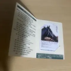 WINS名古屋 開設50周年記念 JRAオッズカード オグリキャップ