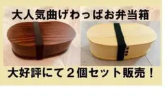 井川メンパ 小判型大 望月栄一 - メルカリ