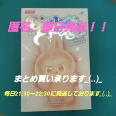 イ*ア様 ラブブ エナジー POP MART Big Into Energy L