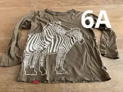 【OJICO】シマウマがしましま着ているTシャツ
