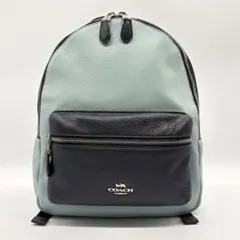 COACH Charlie Backpack コーチ　レザーリュック　チャーリー