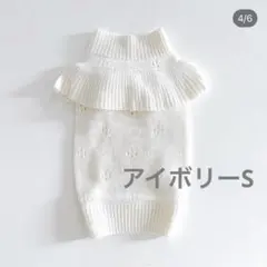 新品未使用 犬服 ニット アイボリー S 上品