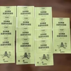 2026年最新】SS特訓の人気アイテム - メルカリ