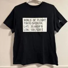 NIKE JORDAN WORLD OF FLIGHT Tシャツ ジョーダンのサムネイル