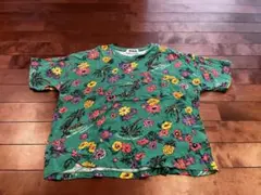 Item thumbnail for item 25f23ad9-da16-40df-b366-335c885a2e7b