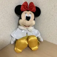 ビビディバビディブティック　ケープ110サイズ ビビディバビディブティック ディズニープリンセスケープ