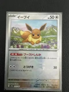 2025年最新】ポケモンカード イーブイ テラスタルの人気アイテム