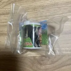 こびとづかん コインケース シボリオオチチ