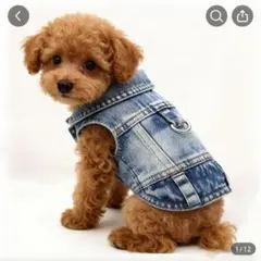 Item thumbnail for item 6e6c4714-c2f6-415a-9273-fba91bbe0929