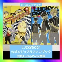2026年最新】ラッキードッグ ビジュアルの人気アイテム - メルカリ