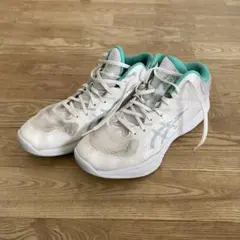 アシックス　バッシュ　28cm