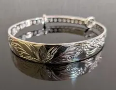 Item thumbnail for item 3801d2ed-151b-432d-a5df-435ea75935bb