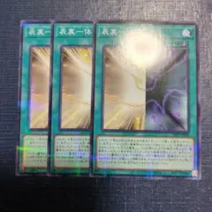 表裏一体　ノーパラ3枚のサムネイル