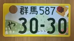 ☆ご当地☆入手困難☆とちぎ77☆ナンバープレート☆license plate