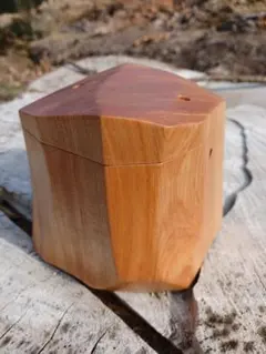 Item thumbnail for item f623ecf5-1675-4a52-8ec0-fa90be02979a