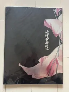 滝沢歌舞伎zero/パンフレット/新橋演舞場