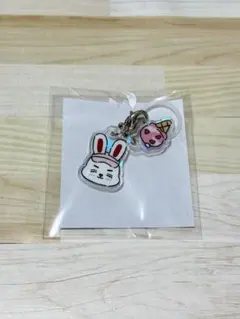 SEVENTEEN エスクプス MINITEEN チェチェリー カプセルトイ - メルカリ