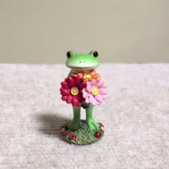 コポー　カエル　ガーベラ