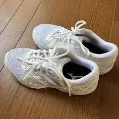 アシックス　スニーカー　白　ホワイト　25.0のサムネイル
