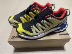 Salomon XA PRO 3D V9 GTX トレイルランニングシューズ