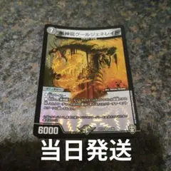 【匿名・らくらく】黒神龍グールジェネレイド 十王篇　ドラゴンゾンビ
