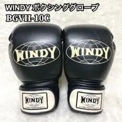 2026年最新】windy グローブ 10の人気アイテム - メルカリ