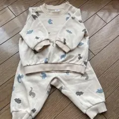 使用5回ほど！恐竜柄のセットアップ70