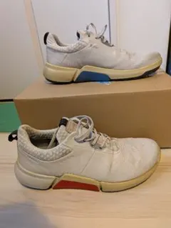 2026年最新】ゴルフシューズ エコー 43の人気アイテム - メルカリ