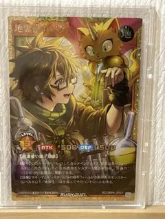 地霊使い アウス フルオーバーラッシュ 遊戯王 ラッシュデュエル