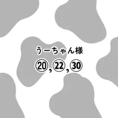 うーちゃん様専用