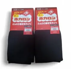 はくホカロン　ふんわり裏起毛タイツ　320デニール　M-Lサイズ　2枚