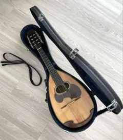 2026年最新】suzuki m-20 マンドリンの人気アイテム - メルカリ